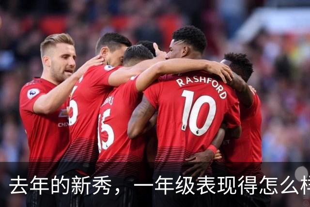 去年的新秀，一年级表现得怎么样呢【上】